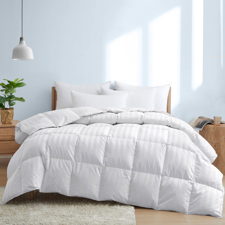 Alwyn Home All Season Down & Feather Blend Comforter & Reviews Wayfair